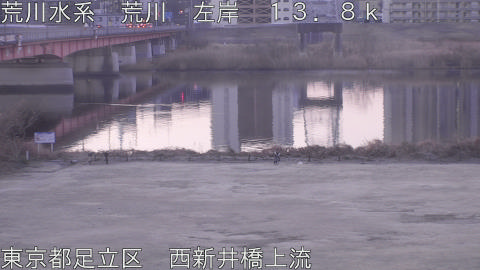 arani2026021407_image