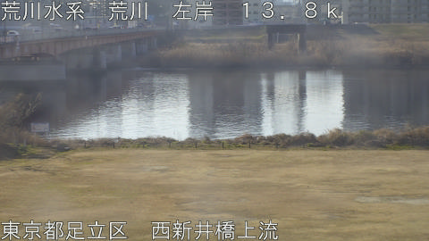 arani2026021409_image