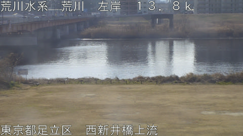 arani2026021410_image