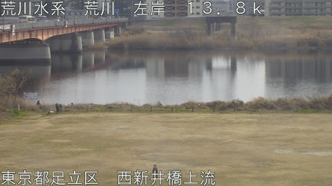 arani2026021414_image