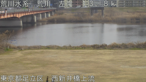 arani2026021415_image