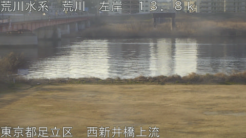 arani2026021508_image