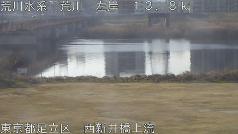 arani2026021509_image