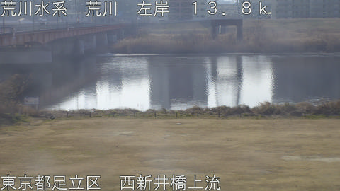 arani2026021510_image