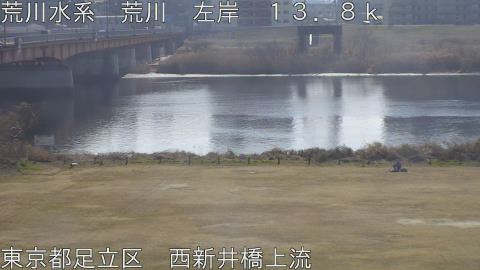 arani2026021512_image