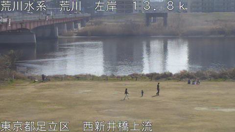 arani2026021513_image