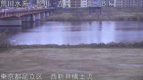 arani2026021707_image