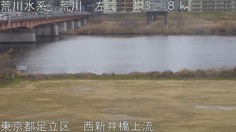 arani2026021708_image