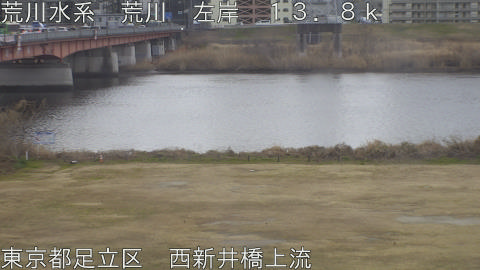 arani2026021709_image