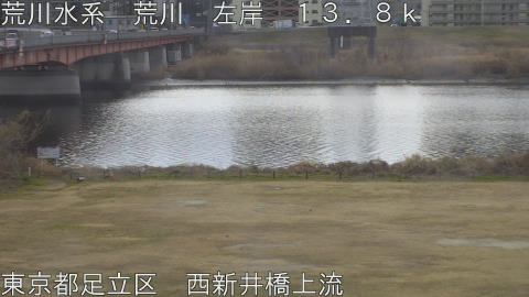 arani2026021711_image