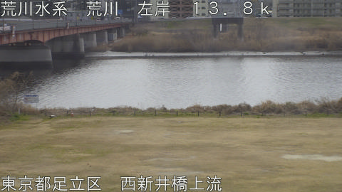 arani2026021712_image