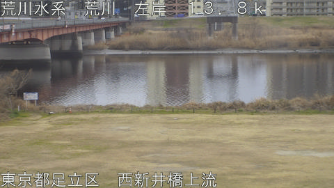 arani2026021713_image