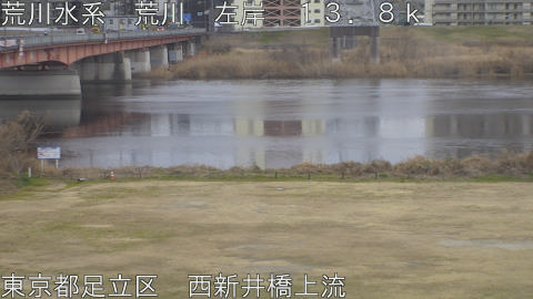 arani2026021716_image