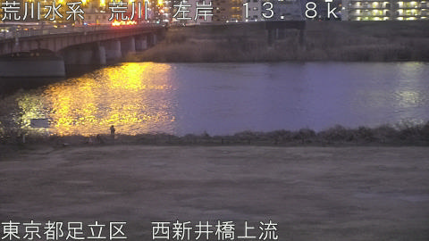 arani2026021718_image