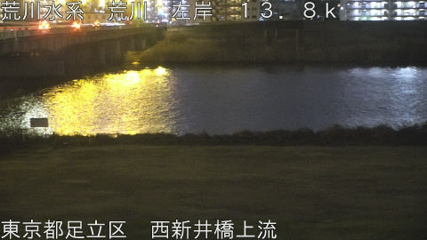 arani2026021720_image