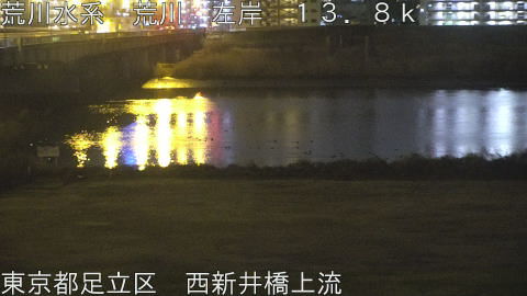 arani2026021723_image