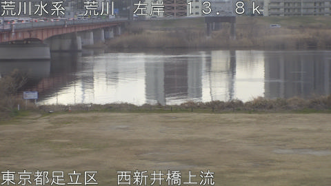 arani2026021808_image