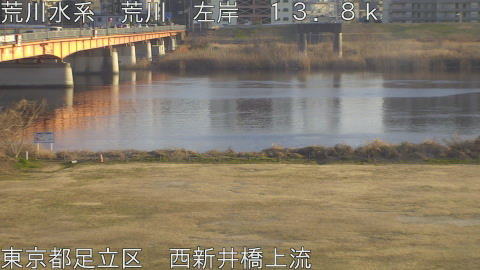 arani2026021817_image