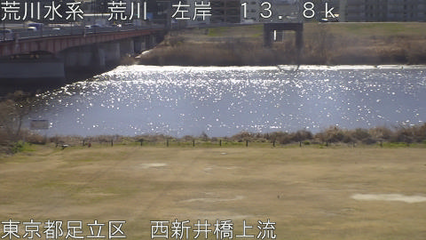 arani2026021912_image