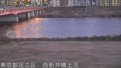 arani2026021918_image