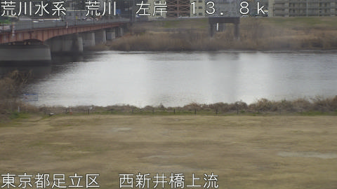 arani2026022011_image