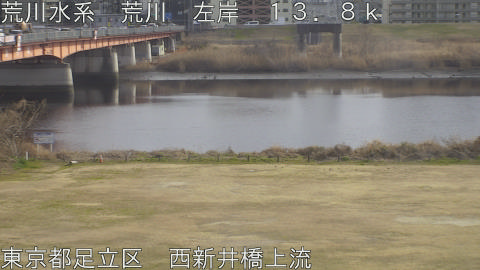 arani2026022015_image