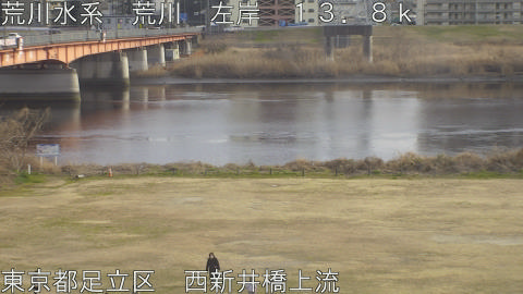 arani2026022016_image