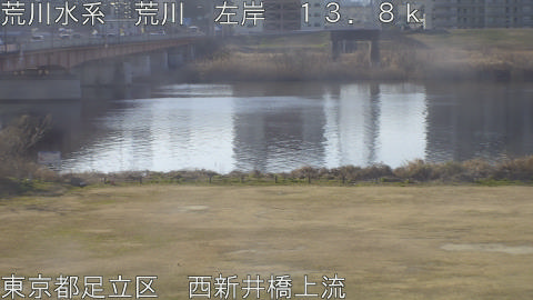 arani2026022109_image