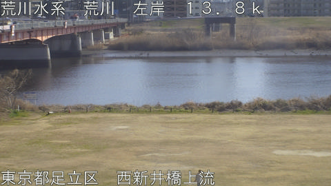 arani2026022114_image