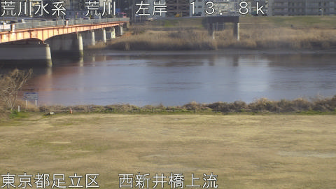 arani2026022116_image