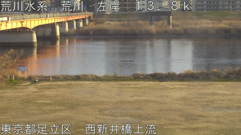 arani2026022117_image