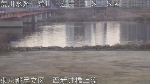 arani2026022207_image