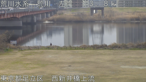 arani2026022211_image