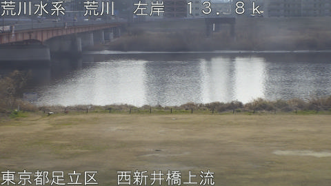 arani2026022212_image