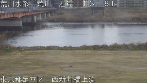 arani2026022214_image