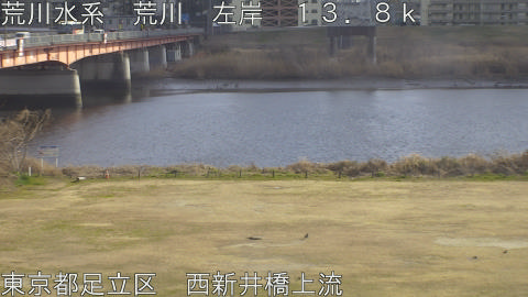 arani2026022215_image