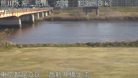 arani2026022216_image