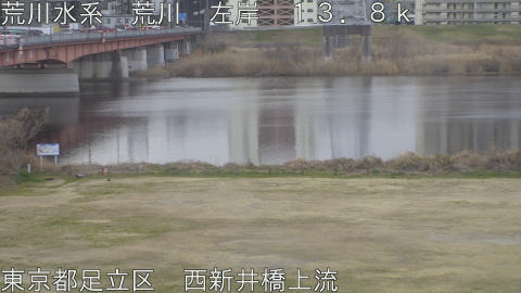 arani2026022408_image