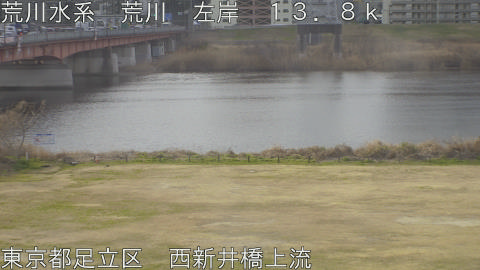 arani2026022409_image