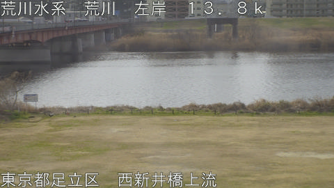 arani2026022410_image