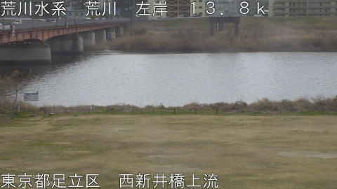 arani2026022412_image