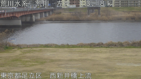 arani2026022413_image