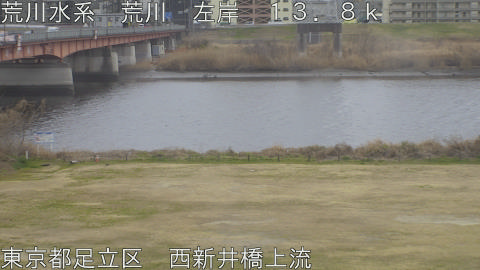 arani2026022414_image