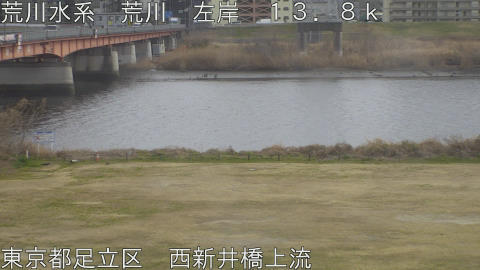 arani2026022415_image