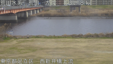 arani2026022416_image