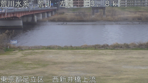 arani2026022417_image