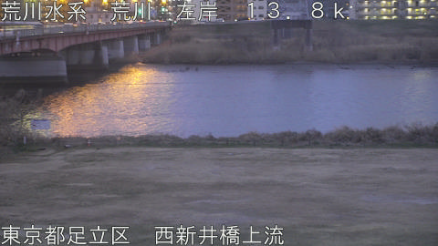 arani2026022418_image