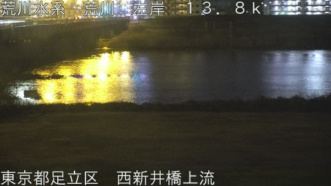 arani2026022422_image