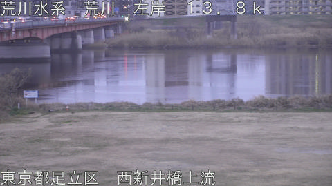 arani2026022507_image