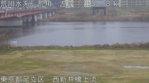 arani2026022508_image